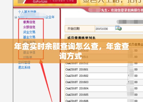 年金实时余额查询怎么查，年金查询方式 