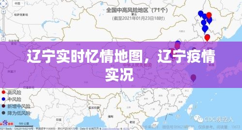 辽宁实时忆情地图,辽宁疫情实况