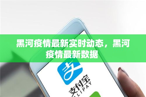 黑河疫情最新实时动态,黑河疫情最新数据