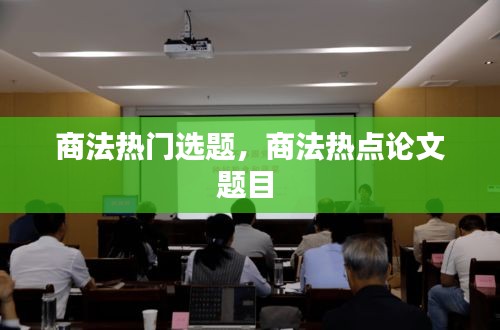 商法热门选题,商法热点论文题目