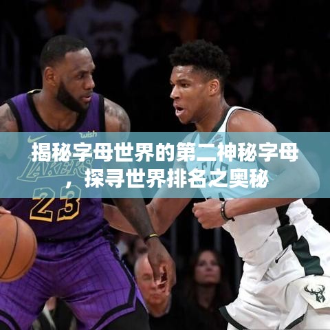 揭秘字母世界的第二神秘字母，探寻世界排名之奥秘