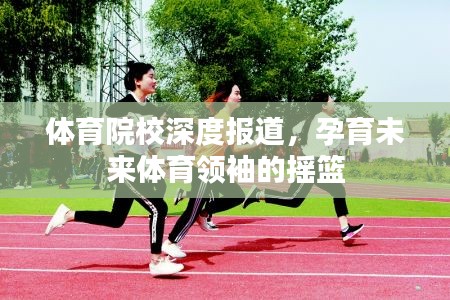 体育院校深度报道，孕育未来体育领袖的摇篮