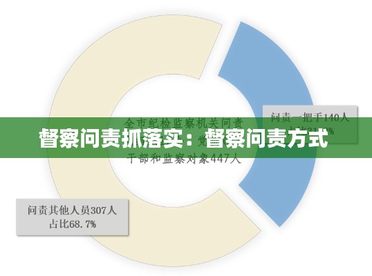 督察问责抓落实：督察问责方式 