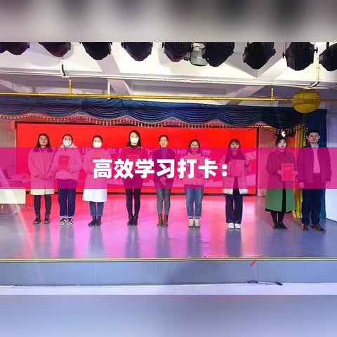 高效学习打卡： 