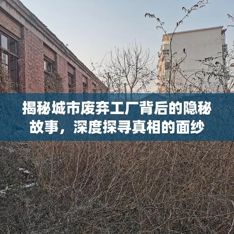 揭秘城市废弃工厂背后的隐秘故事，深度探寻真相的面纱