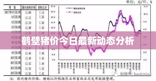 鹤壁猪价今日最新动态分析