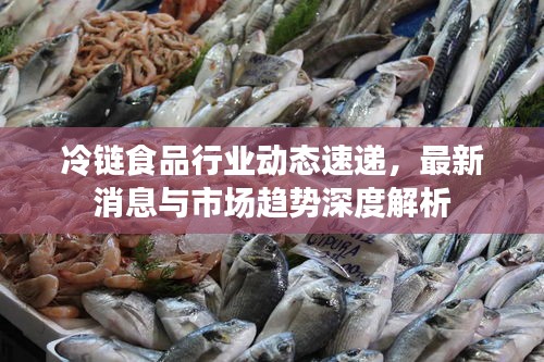 冷链食品行业动态速递，最新消息与市场趋势深度解析
