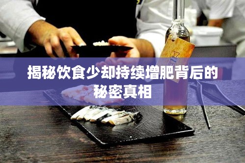 揭秘饮食少却持续增肥背后的秘密真相