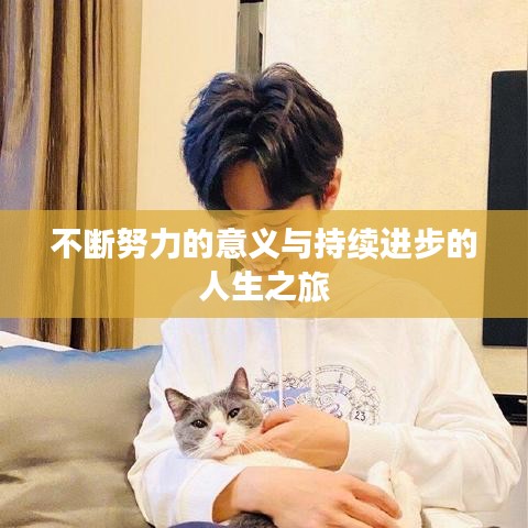 不断努力的意义与持续进步的人生之旅