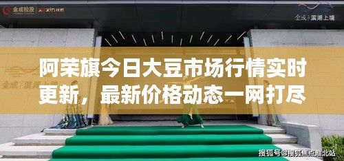 阿荣旗今日大豆市场行情实时更新,最新价格动态一网打尽