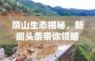 荫山生态揭秘，新闻头条带你领略自然魅力