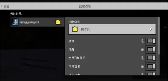 核心功能清单,我的世界联机版本,数据支持策略分析_复古款_v4.123