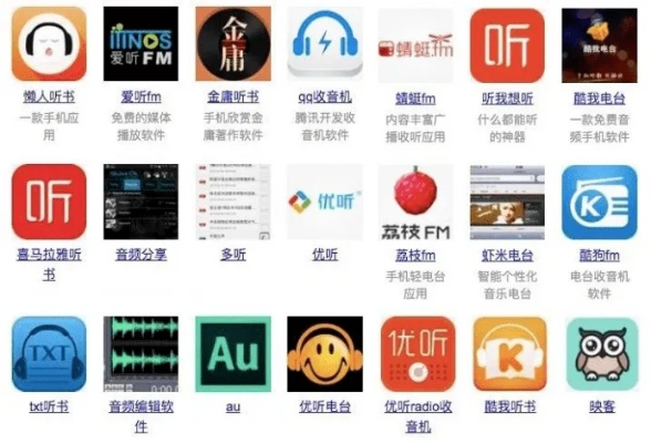ofo旧版本与趣配音官方下载，现状评估与解析，桌面款V3.133的性价比优势