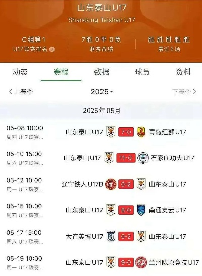 清新版本或山东体育官方下载,高效性计划实施&amp;SHD_v6.796