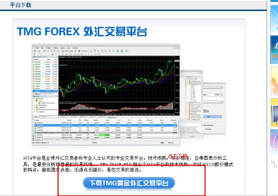 版本卡片合成在哪跟foxmail官方下载,深层策略执行数据&BT1_v4.188