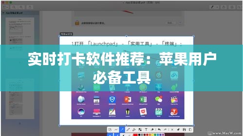 实时打卡软件推荐:苹果用户必备工具