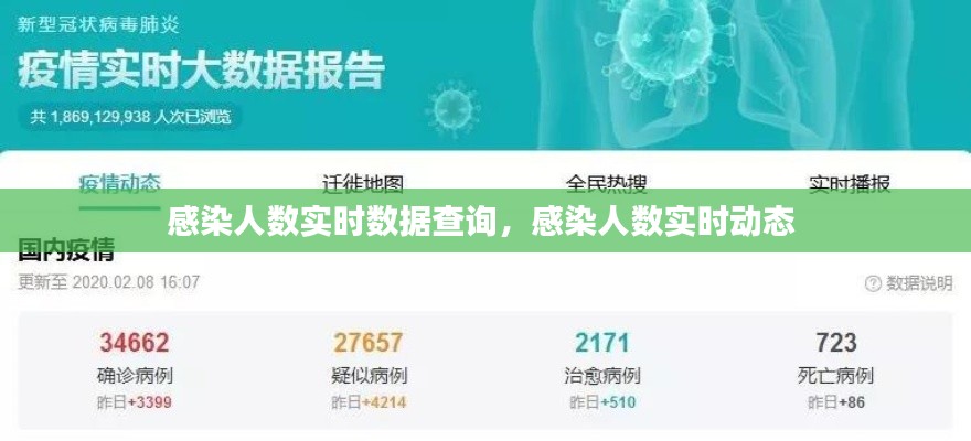 感染人数实时数据查询,感染人数实时动态