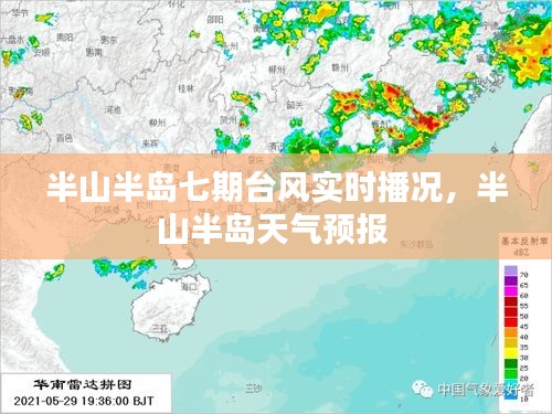 半山半岛七期台风实时播况，半山半岛天气预报 