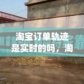 淘宝订单轨迹是实时的吗,淘宝轨迹怎么查