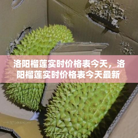 洛阳榴莲实时价格表今天,洛阳榴莲实时价格表今天最新