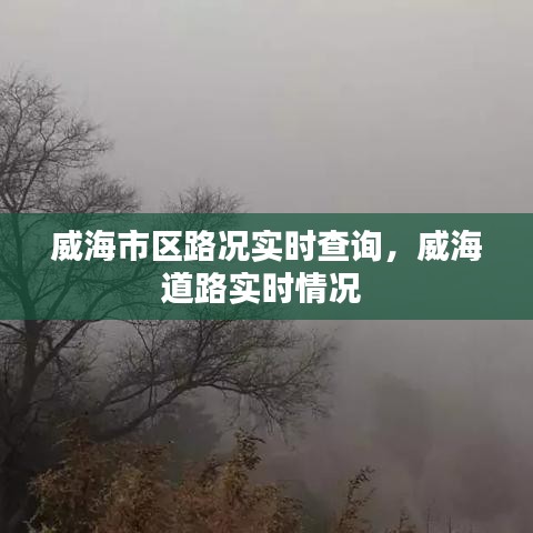 威海市区路况实时查询,威海道路实时情况