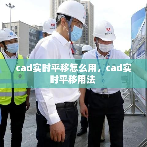 cad实时平移怎么用，cad实时平移用法 