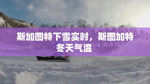 斯加图特下雪实时,斯图加特冬天气温