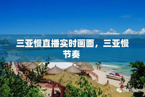 三亚慢直播实时画面,三亚慢节奏