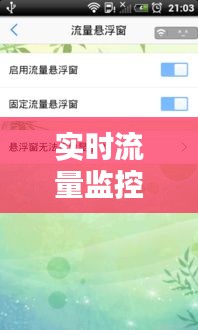实时流量监控安卓,实时流量监控安卓怎么用