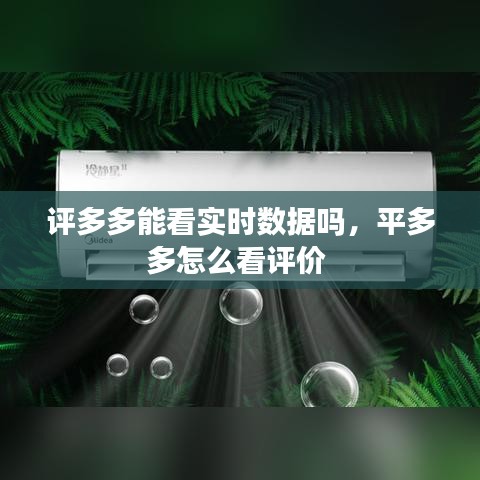 评多多能看实时数据吗,平多多怎么看评价