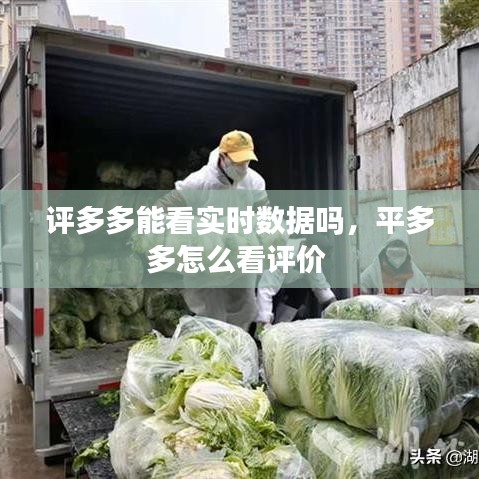 评多多能看实时数据吗,平多多怎么看评价
