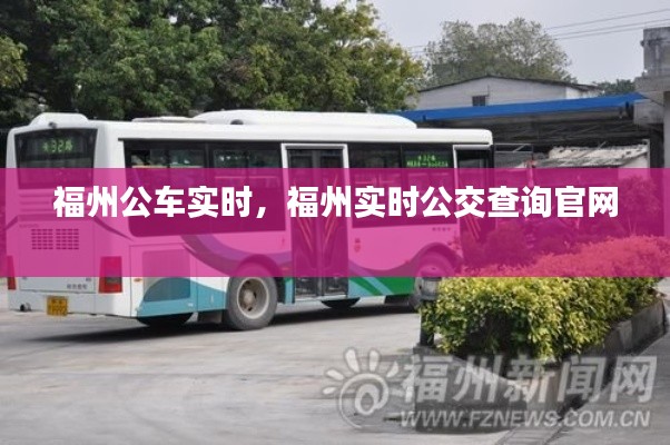 福州公车实时,福州实时公交查询官网