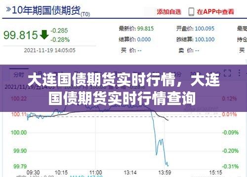 大连国债期货实时行情,大连国债期货实时行情查询