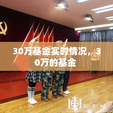 30万基金实时情况，30万的基金 