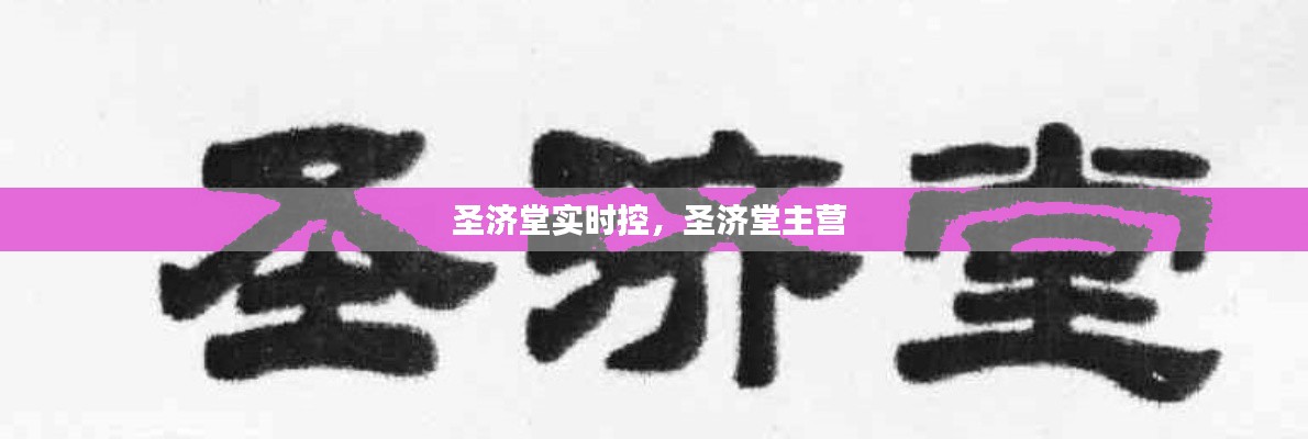 圣济堂实时控,圣济堂主营