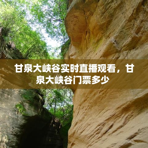 甘泉大峡谷实时直播观看,甘泉大峡谷门票多少