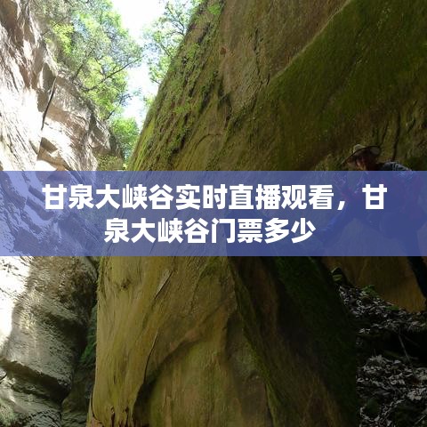 甘泉大峡谷实时直播观看,甘泉大峡谷门票多少