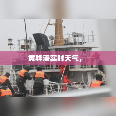 黄骅港实时天气,