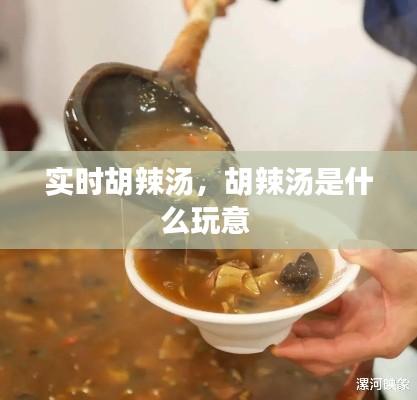 实时胡辣汤,胡辣汤是什么玩意