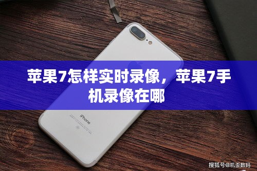 水静河飞 第5页