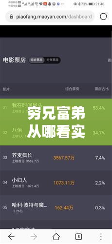 穷兄富弟从哪看实时票房,穷兄穷弟