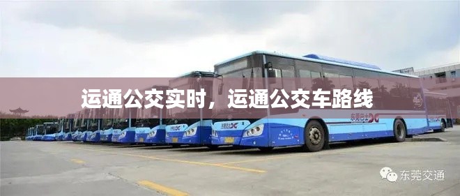运通公交实时，运通公交车路线 