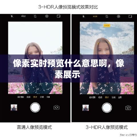 像素实时预览什么意思啊,像素展示