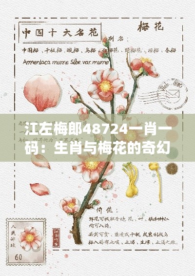 江左梅郎48724一肖一码:生肖与梅花的奇幻旅程
