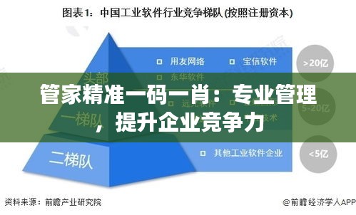管家精准一码一肖:专业管理,提升企业竞争力