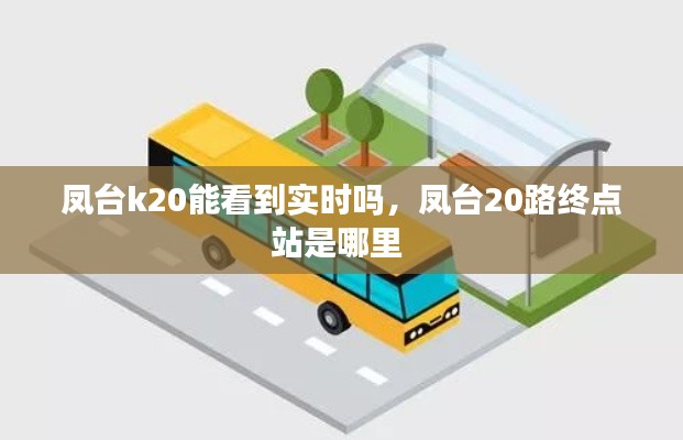 凤台k20能看到实时吗，凤台20路终点站是哪里 