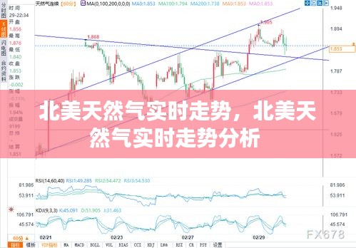 北美天然气实时走势，北美天然气实时走势分析 