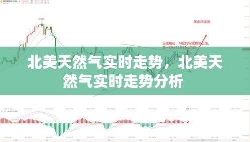 北美天然气实时走势,北美天然气实时走势分析