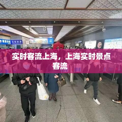 实时客流上海,上海实时景点客流