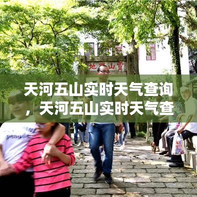 天河五山实时天气查询,天河五山实时天气查询最新